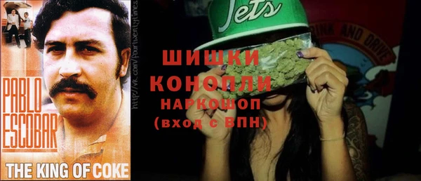 гидра Михайлов
