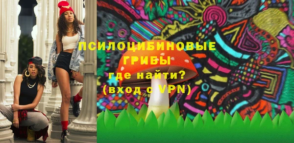 гидра Михайлов