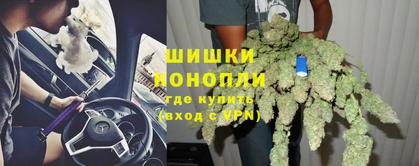 дживик Надым