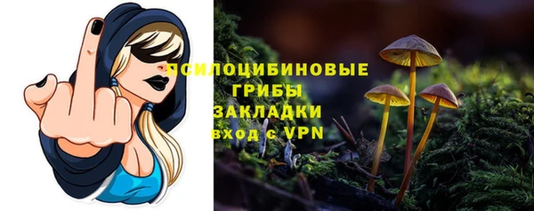 МДПВ Дубовка